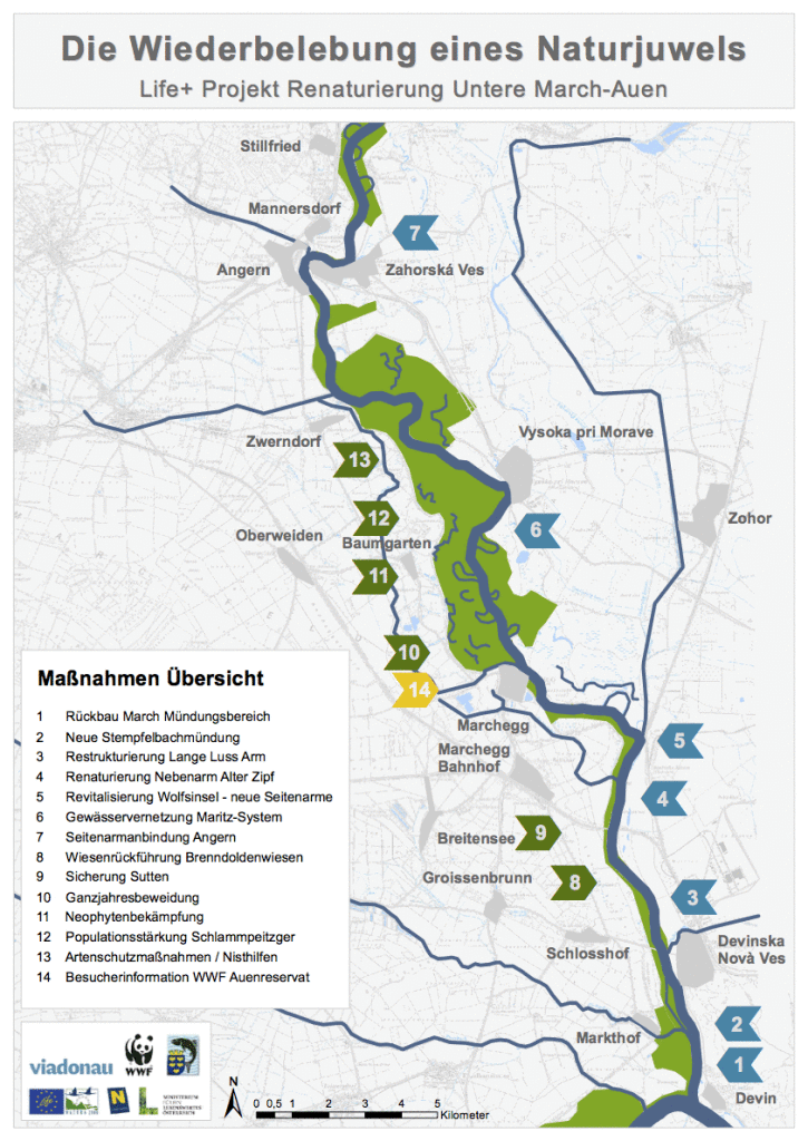 Life MarchAuen Massnahmen Übersicht