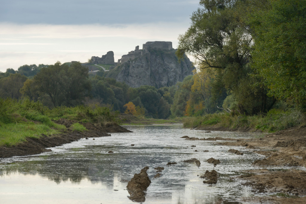 Austria / Lower Austria - Renaturation of oxbow streams in flood plain of Morava river.
